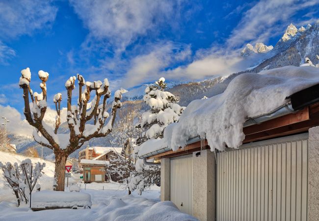 Appartement à Chamonix-Mont-Blanc - Serenite