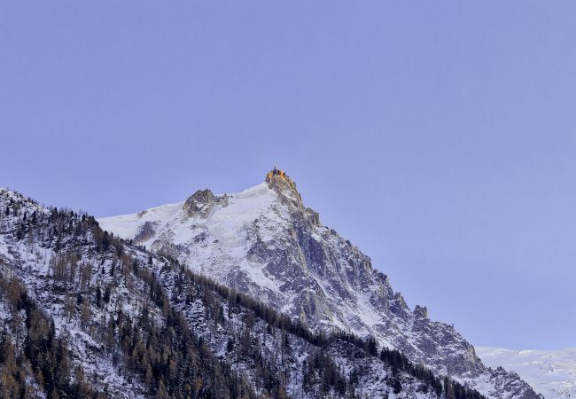 Appartement à Chamonix-Mont-Blanc - Serenite