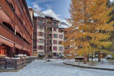 Appartement à Chamonix-Mont-Blanc - Windlip: Residence Jonquille