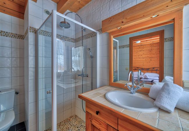 Chalet in Chamonix-Mont-Blanc - Chalet Coralie