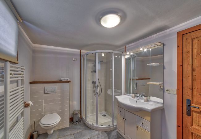 Chalet in Les Houches - Chalet Dahu Chalet in Les Houches - Chalet Dahu