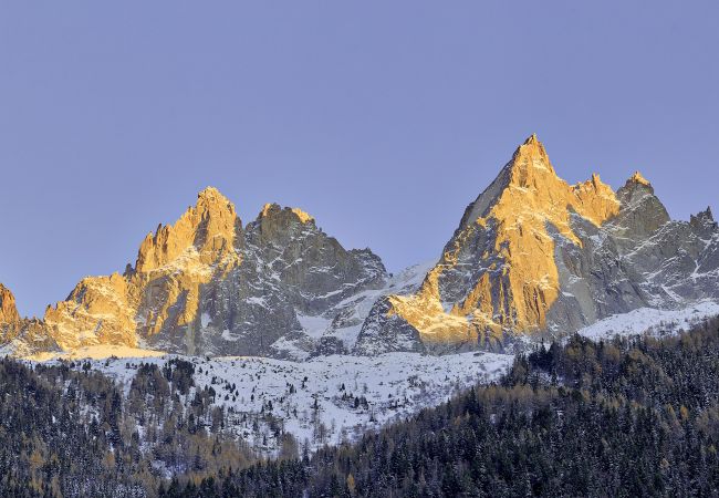 Apartment in Chamonix-Mont-Blanc - Serenite