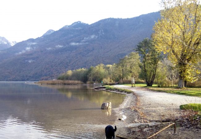 Chalet in Doussard - Cabin No 7 Lac d'Annecy