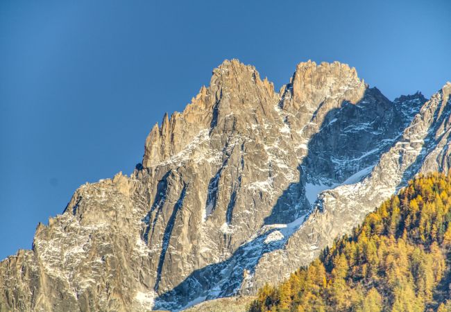 Apartment in Chamonix-Mont-Blanc - Apartment Gaillands North Apartment in Chamonix-Mont-Blanc - Apartment Gaillands North