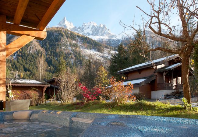 Chalet in Chamonix-Mont-Blanc - Chalet Minouche Chamonix