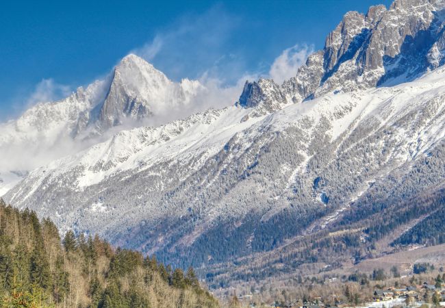 Apartment in Les Houches - Apartment Aiguille Rose Apartment in Les Houches - Apartment Aiguille Rose
