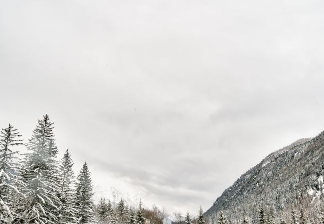 Chalet in Chamonix-Mont-Blanc - Chalet Freya Chalet in Chamonix-Mont-Blanc - Chalet Freya